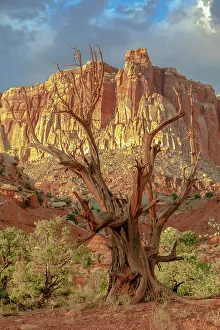 Michael Schertz Prints: Capitol Reef National Park