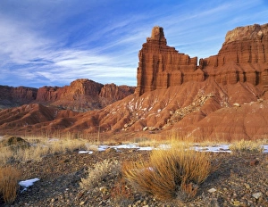 Images Dated 30th July 2007: CAPITOL REEF NATIONAL PARK, UTAH. USA. Brush below Chimney Rock in winter. Moenkopi