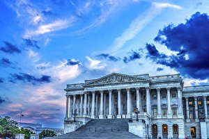 District Of Columbia Prints: US Capitol, Washington, DC