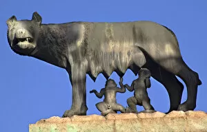 Italy Collection: Capitoline Wolf Romulus Remus Statue Forum Rome Italy Resubmit--In response to