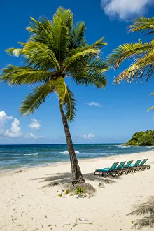 Carambola Beach Resort beach, St. Croix, US Virgin Islands