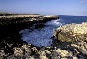 Antigua Prints: Caribbean, Antigua, eastern coast Devils Bridge