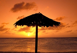 Aruba Prints: Caribbean, Aruba. Arashi Beach