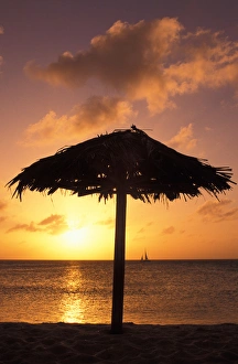 Palapa Prints: Caribbean, Aruba, Arashi beach at sunset