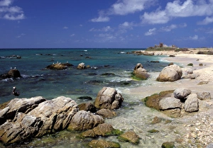 Aruba Prints: Caribbean, Aruba, Cudarebe Point