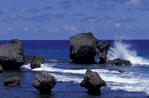 Images Dated 8th January 2004: CARIBBEAN, Barbados Coastal Scene