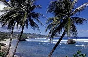 Caribbean, Barbados, St. Joseph Parish View of the rock formations at Bathsheba