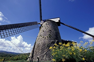 Images Dated 8th January 2004: CARIBBEAN, Barbados St Nicholas Abbey Sugar Mill, St Peter Parish