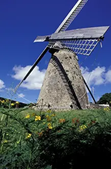Barbados Prints: Caribbean, Barbados, St. Peter Parish Morgan Lewis Windmill
