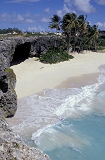 Barbados Prints: Caribbean, Barbados, St. Phillip Parish, Bottom Bay Palm Tree lined beach