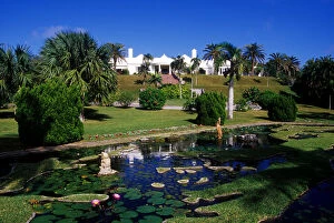 Caribbean, Bermuda, Devonshire Parish, Palm Grove Gardens. Reflecting pool with unique