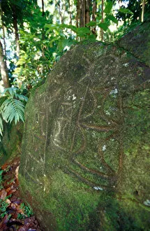 Caribbean, BWI, St. Lucia, Aly Brown, Stonefield Estate, Indian petroglyphs