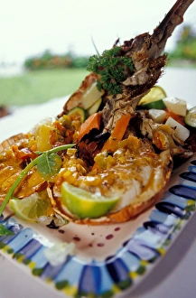 Images Dated 22nd April 2005: Caribbean, BWI, St. Lucia, Lobster, Ti Kaye Resort, Anse Cochon