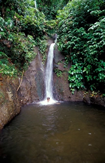 Images Dated 19th April 2005: Caribbean, BWI, St. Lucia, Pyke waterfall