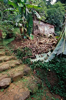Images Dated 19th April 2005: Caribbean, BWI, St. Lucia, Mill ruins at Pyke waterfall
