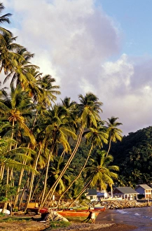 Images Dated 19th April 2005: Caribbean, BWI, St. Lucia, Sailboats, Soufriere