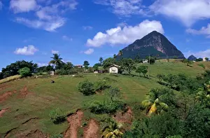 Images Dated 19th April 2005: Caribbean, BWI, St. Lucia, Scenic views along the Pitons Natural Trail
