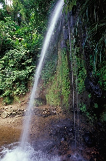 Falling Prints: Caribbean, BWI, St. Lucia, Touraille waterfall