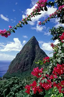 Images Dated 19th April 2005: Caribbean, BWI, St. Lucia, View of the Pitons from Ladera Resort