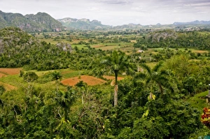 Images Dated 3rd January 2010: Caribbean, Cuba