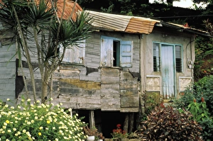 Nation Prints: Caribbean, Dominica, Carib Village. Hut