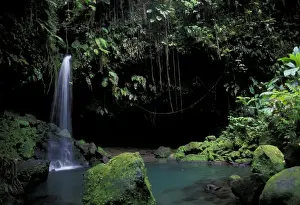 Mossy Prints: Caribbean, Dominica, Morne Trois Pitons National Park. Cascade and beautiful emerald pool