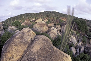 Caribbean, Dutch Antilles, Aruba View of Arikok NP