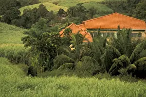 Images Dated 13th January 2004: Caribbean, French West Indies, Martinique; Le Trinite Red-roofed sugar plantation