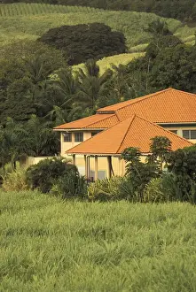 Images Dated 14th January 2004: Caribbean, French West Indies, Martinique; Le Trinite Red-roofed sugar plantation