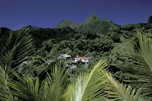 Images Dated 13th January 2004: Caribbean, French West Indies, Martinique; Route de la Trace View of the Pitons