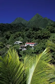 Images Dated 14th January 2004: Caribbean, French West Indies, Martinique; Route de la Trace View of the Pitons