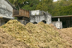 Sugar Cane Prints: Caribbean, Grenada, East Coast, Tivoli, River Antoine Rum Distillerie (b. 1785), Residue