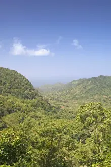 Images Dated 1st June 2011: Caribbean, GRENADA, Interior, Grand Etang National Park Park View from the Beausejour