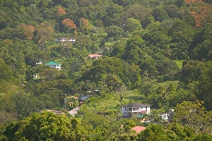 Images Dated 21st December 2005: Caribbean, GRENADA, Interior, Willis Village View