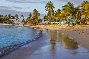 Images Dated 19th September 2019: Caribbean, Grenada, Mayreau Island. Beach umbrellas and lounge chairs