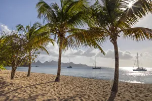 Images Dated 19th September 2019: Caribbean, Grenada, Mayreau Island. Sailboats at anchor off beach