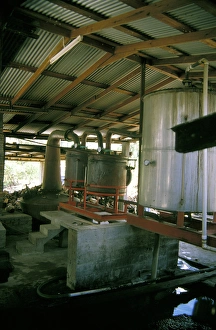 Caribbean, Grenada, River Antoine. Old copper boilers at the River Antoine Rum Distillery