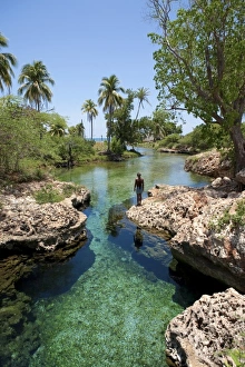 Images Dated 4th May 2006: Caribbean, Jamaica