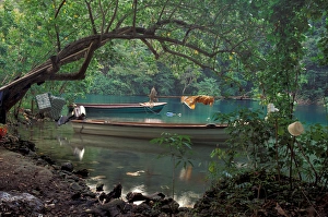 CARIBBEAN, Jamaica, near Port Antonio Blue Lagoon, anchored boats