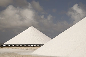 Images Dated 6th April 2008: Caribbean, Netherlands Antilles, Bonaire, Lacre Point. Cones of crystallized salt