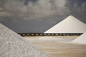 Images Dated 6th April 2008: Caribbean, Netherlands Antilles, Bonaire, Lacre Point. Cones of crystallized salt