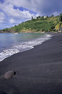 Caribbean, Nevis. Beach scene
