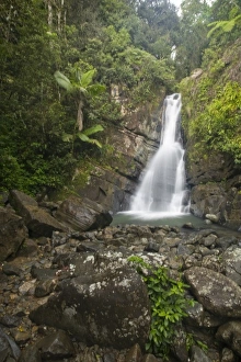 Images Dated 2nd April 2008: Caribbean, Puerto Rico