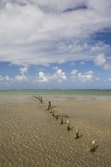 Images Dated 12th December 2009: Caribbean, Puerto Rico