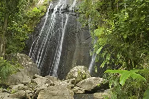 Images Dated 1st April 2008: Caribbean, Puerto Rico, El Yunque rain forest, Caribbean National Forest. La Coca Falls