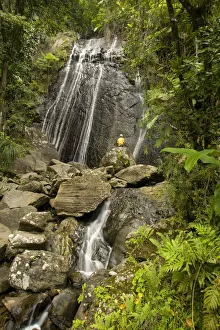 Images Dated 1st April 2008: Caribbean, Puerto Rico, El Yunque rain forest, Caribbean National Forest. La Coca Falls