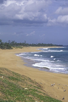 Robin Hill Prints: Caribbean, Puerto Rico Northeast coast scenic