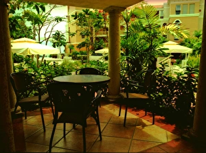 Caribbean, Puerto Rico, Rincon, Horned Dorsett, Rincon Beach Resort