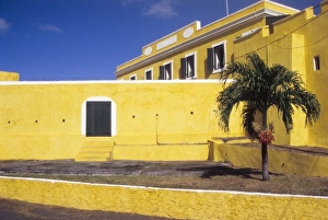 Stair Way Prints: Caribbean, St Croix, Christiansted, palm with berries in front of Ft Christian