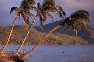 Peter Skinner Prints: Caribbean, St. Kitts. Beach scene